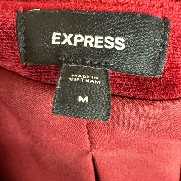 Express Velvet Double Breasted Shawl Collar Blazer M - Picture 4 of 4